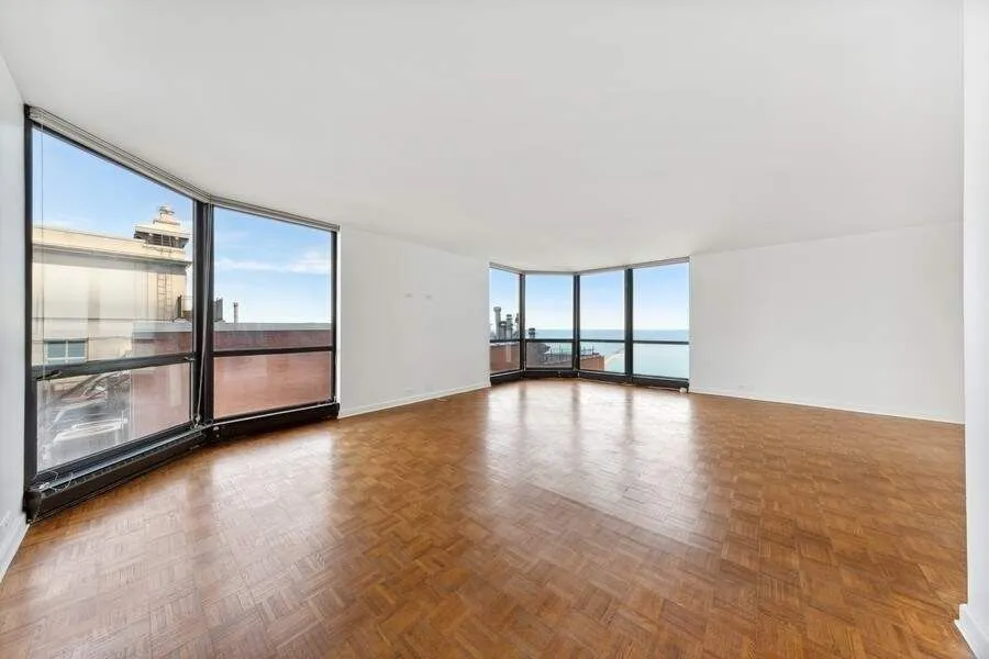 990 N Lake Shore Drive #15D, Chicago — photo 4 of 20